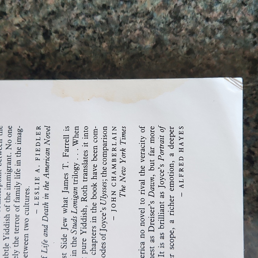 Call it Sleep - a Novel by Henry Roth - Picture 6 of 6